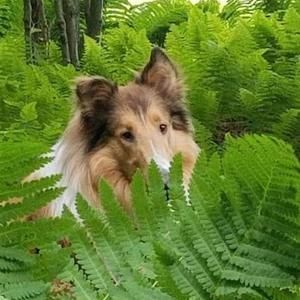 Meet your Posher, Clara